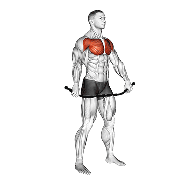chest and front of shoulder stretch