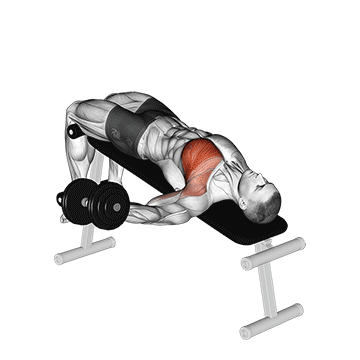 dumbbell decline one arm fly