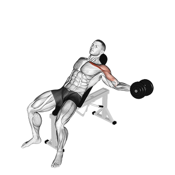 dumbbell incline one arm fly