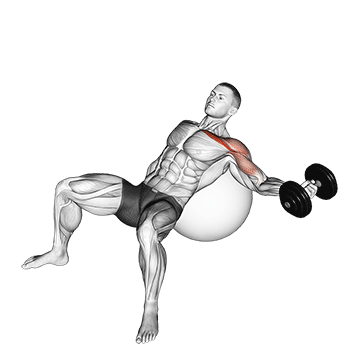 dumbbell incline one arm fly on exercise ball