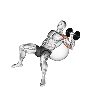 dumbbell incline one arm press on exercise ball