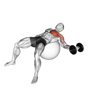 dumbbell one arm chest fly on exercise ball