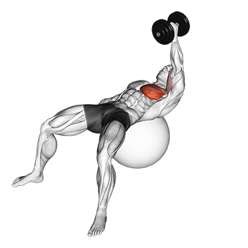 dumbbell one arm fly on exercise ball