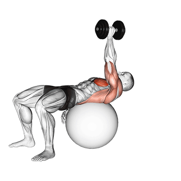 dumbbell one arm pullover on exercise ball