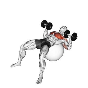 dumbbell press on exercise ball
