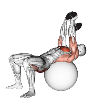 dumbbell pullover hip extension on exercise ball