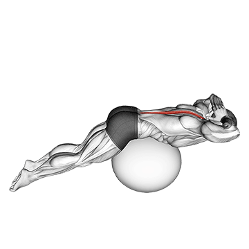 back extension on exercise ball