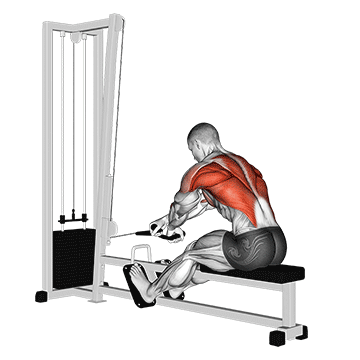 cable rope crossover seated row