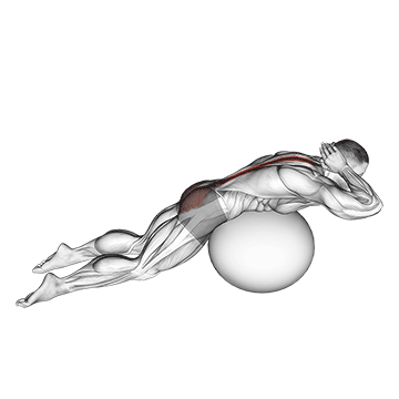exercise ball back extension with hands behind head