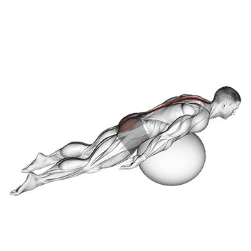 exercise ball back extension with knees off ground