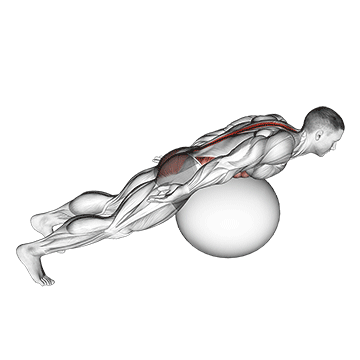 exercise ball back extension with rotation