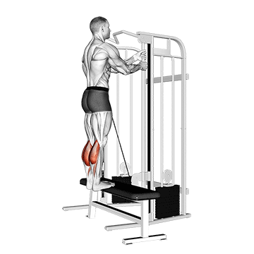 cable standing calf raise