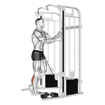 cable standing one leg calf raise