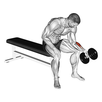 dumbbell one arm seated neutral wrist curl