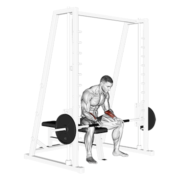 smith seated wrist curl