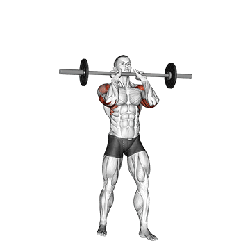 barbell standing close grip military press