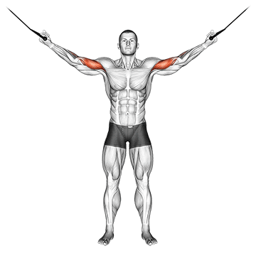 cable overhead curl