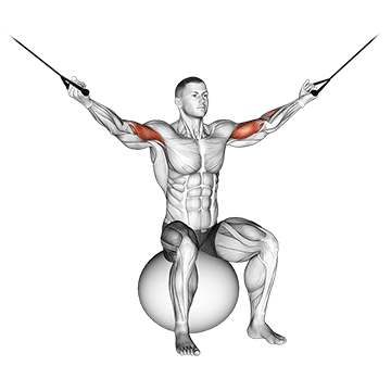 cable overhead curl on exercise ball