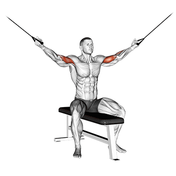 cable seated overhead curl