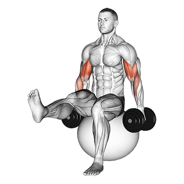 dumbbell bicep curl on exercise ball with leg raised