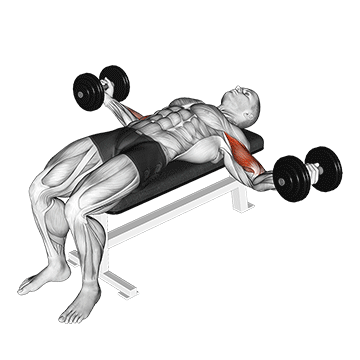 dumbbell lying wide curl