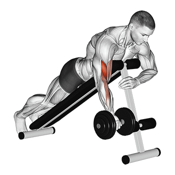 dumbbell one arm prone curl