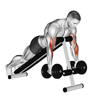 dumbbell prone incline hammer curl
