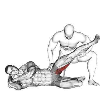 assisted side lying adductor stretch