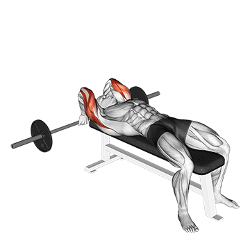 barbell lying back of the head tricep extension
