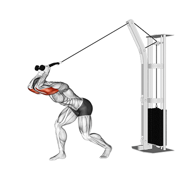 cable high pulley overhead tricep extension