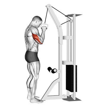 cable one arm tricep pushdown