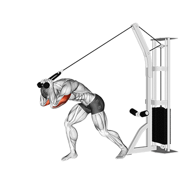 cable rope high pulley overhead tricep extension