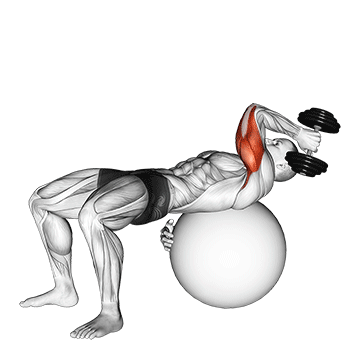 dumbbell one arm french press on exercise ball