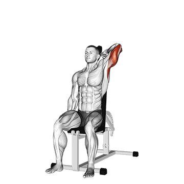 dumbbell seated reverse grip one arm overhead tricep extension