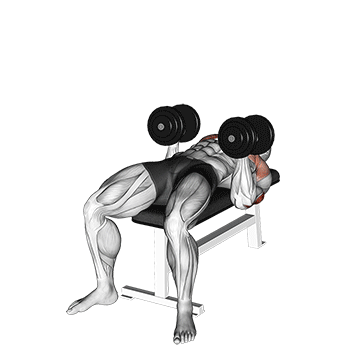 dumbbell twisting bench press