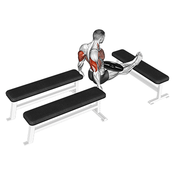 weighted three bench dips
