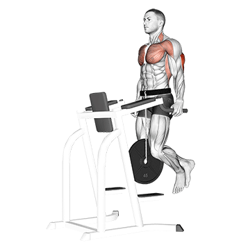 weighted tricep dips