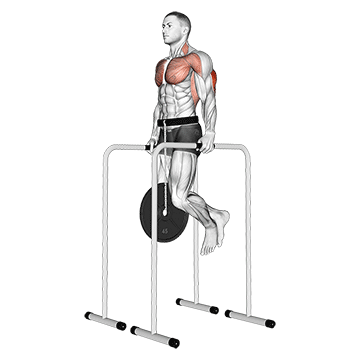 weighted triceps dip on high parallel bars
