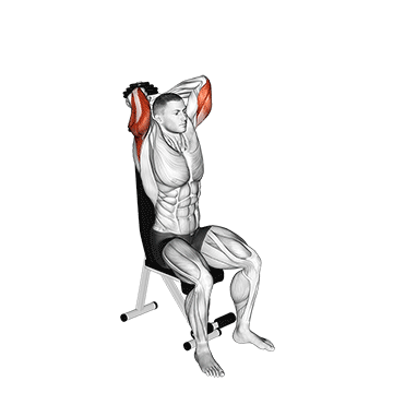 dumbbell seated triceps extension