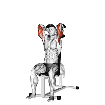 dumbbells seated triceps extension