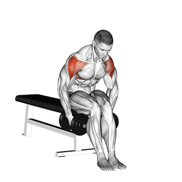 dumbbell seated bent arm lateral raise