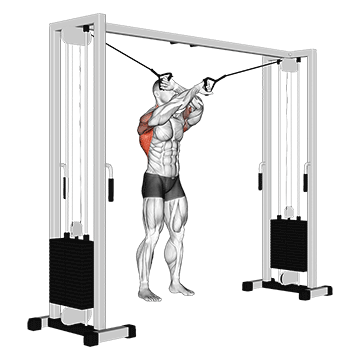 cable lat pulldown full range of motion