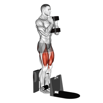 dumbbell supported squat