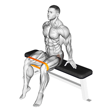 resistance band seated hip abduction