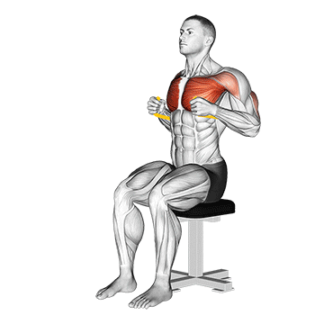 resistance band seated chest press