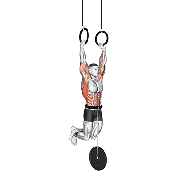 weighted muscle up