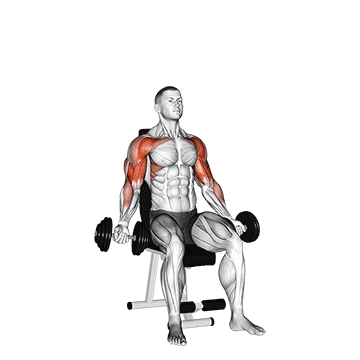 dumbbell seated biceps curl to shoulder press