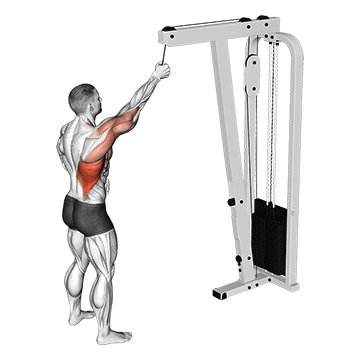 cable one arm pulldown