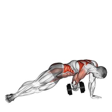 dumbbell side plank with rear fly