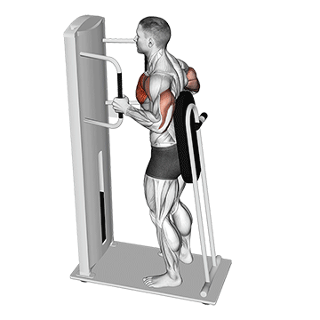 lever standing chest press